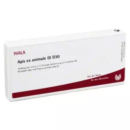 APIS EX zwierzęce GL D 30 ampułek, 10X1 ml