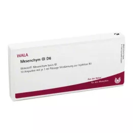 MESENCHYM GL D 6 ampułek, 10X1 ml