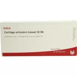 CARTILAGO Articularis Coxae GL D 6 Ampoules, 10x1 ml