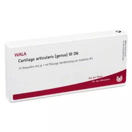 CARTILAGO rodzaj articularis GL D 6 ampułek, 10X1 ml