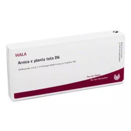 ARNICA E Planta tota D 6 ampułek, 10X1 ml