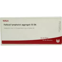 FOLLICULI LYMPHATICI agregaty GL D 6 ampułek, 10X1 ml