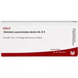 GLANDULA SUPRARENALES dextra GL D 8 ampułek, 10X1ml