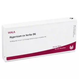 HYPERICUM EX Herba D 6 ampułek, 10X1 ml
