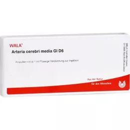 ARTERIA CEREBRI media GL D 6 ampułek, 10X1 ml