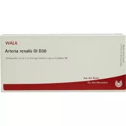 ARTERIA RENALIS GL d 30 ampules, 10x1 ml