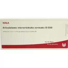 ARTICULATIONES międzykręgowy.szyjka.GL D 30 Amp., 10X1 ml