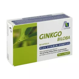 GINKGO Kapsułki 100 mg+B1+C+E, 48 szt