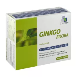 GINKGO Kapsułki 100 mg+B1+C+E, 192 szt