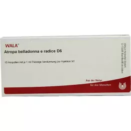 ATROPA belladonna e Radix D 6 ampułek, 10X1 ml