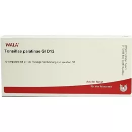 TONSILLAE Palatinae GL D 12 ampuli, 10x1 ml