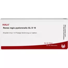 RENES REGIO pyelorenalis GL D 10 ampułek, 10X1 ml