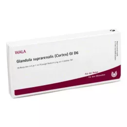 GLANDULA SUPRARENALES kora GL D 6 ampułek, 10X1 ml