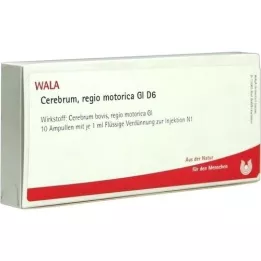 CEREBRUM REGIO motorica GL D 6 ampułek, 10X1 ml