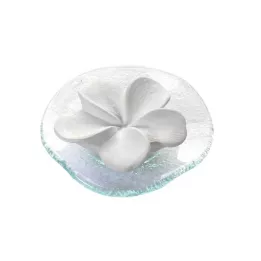 DUFTSTEIN Frangipani Glasteller Transparent, 1 szt