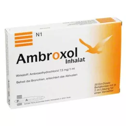 AMBROXOL Roztwór do inhalacji do nebulizatora, 20X2 ml