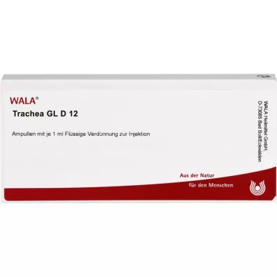 TRACHEA GL D 12 ampułek, 10X1 ml