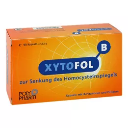 XYTO Kapsułki Fol B, 90 szt