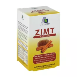 ZIMT KAPSELN 500 mg+witamina C+E, 120 szt