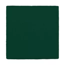 MULLKOMPRESSEN 10x10 cm 12-krotnie zielony, 100 szt