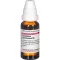 CEANOTHUS AMERICANUS D 3 Rozcieńczenie, 20 ml