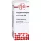 Kolocynthis D 8, 20 ml