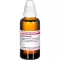 Echinacea ma D30, 50 ml