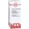 GNAPHALIUM POLYCEPHALUM D 3 Rozcieńczenie, 50 ml