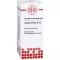 Lobelia Infata D12, 20 ml