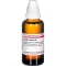 Lobelia Infbata D 6, 50 ml