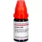 CACTUS LM VI Rozcieńczenie 10 ml