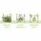 CANEPHRON Krople N 100 ml