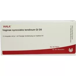 VAGINAE ścięgno błony maziowej GL D 5 ampułek, 10X1 ml