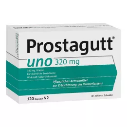 PROSTAGUTT kapsułki uno 120 szt