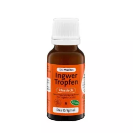 INGWERTROPFEN Dr Muches, 20 ml