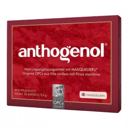 ANTHOGENOL Masquelier OPC kapsułki 30 szt