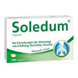 SOLEDUM 100 mg kapsułki dojelitowe, 100 szt