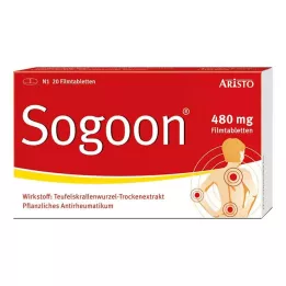 SOGOON 480 mg tabletki powlekane, 20 szt