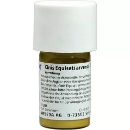 CINIS EQUISETI Arvensis D 6 Tritureation, 20 g