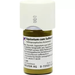 EQUISETUM CUM Sulfure Tostum D 1 Tritureation, 20 g