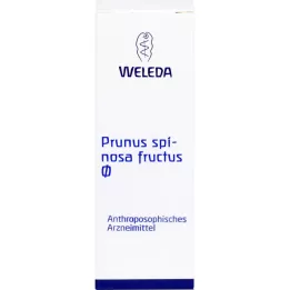 Fruktus Prunus Spinosa Naturalny nalewki, 50 ml