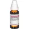 ARUNDO mauritanica D 12 Rozcieńczenie, 20 ml