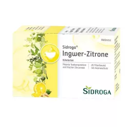 SIDROGA Torebki filtrujące do herbaty Wellness Imbir-Cytryna, 20 x 2,0 g