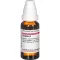 ZINGIBER Nalewka macierzysta, 20 ml
