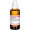 Asa Foetida D12, 50 ml