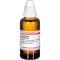 Levisticum Off URT, 50 ml