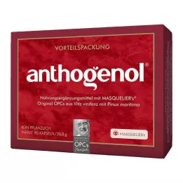 OPC ORIGINAL Masqueliers Anthogenol kapsułki, 90 szt