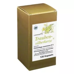 TRAUBENSILBERKERZE Kapseln, 120 szt