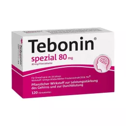 TEBONIN specjalne tabletki powlekane 80 mg, 120 szt