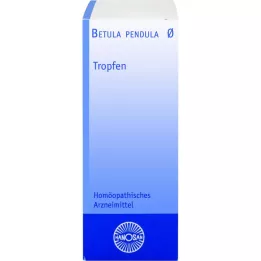 BETULA PENDULA Nalewka z matki Hanosan, 20 ml